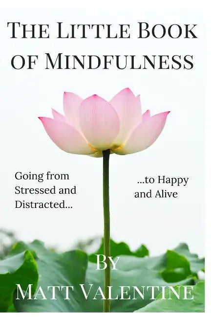 The Little Book of Mindfulness - Paperback